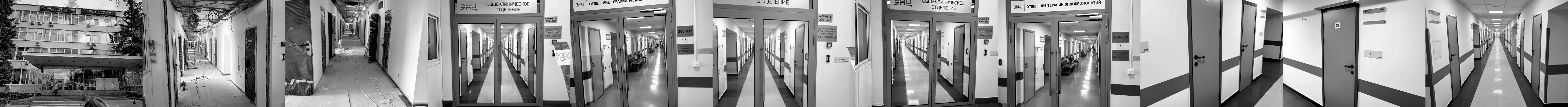 Dedov National Medical Research Centre for Endocrinology — general view