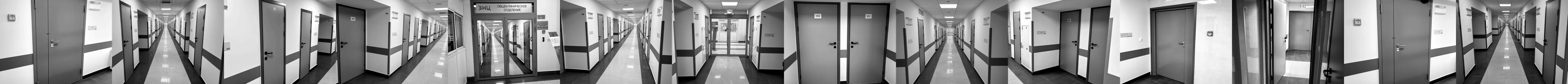 Dedov National Medical Research Centre for Endocrinology — fire-rated doors in clinical departments
